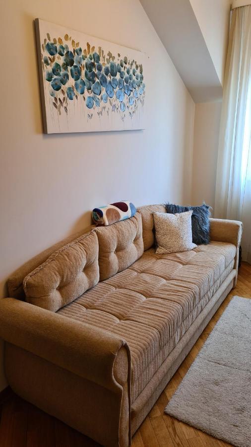 The View Apartment Vracar Belgrado Buitenkant foto