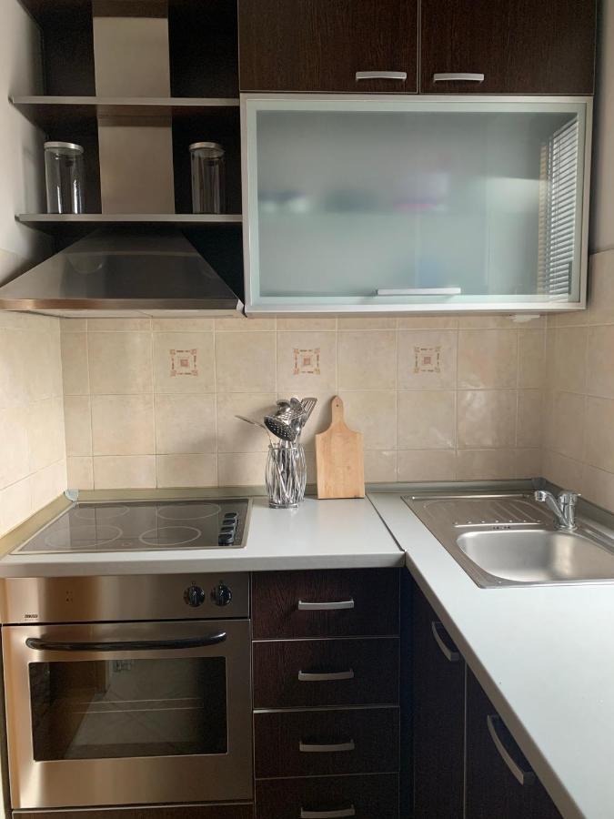 The View Apartment Vracar Belgrado Buitenkant foto